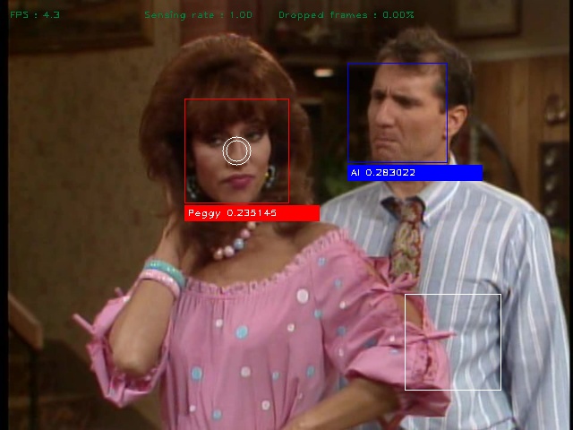 Online semi-supervised face detection