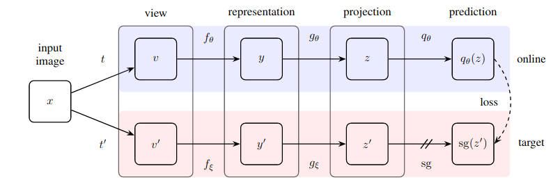 Self-Supervised Learning and BYOL visualization