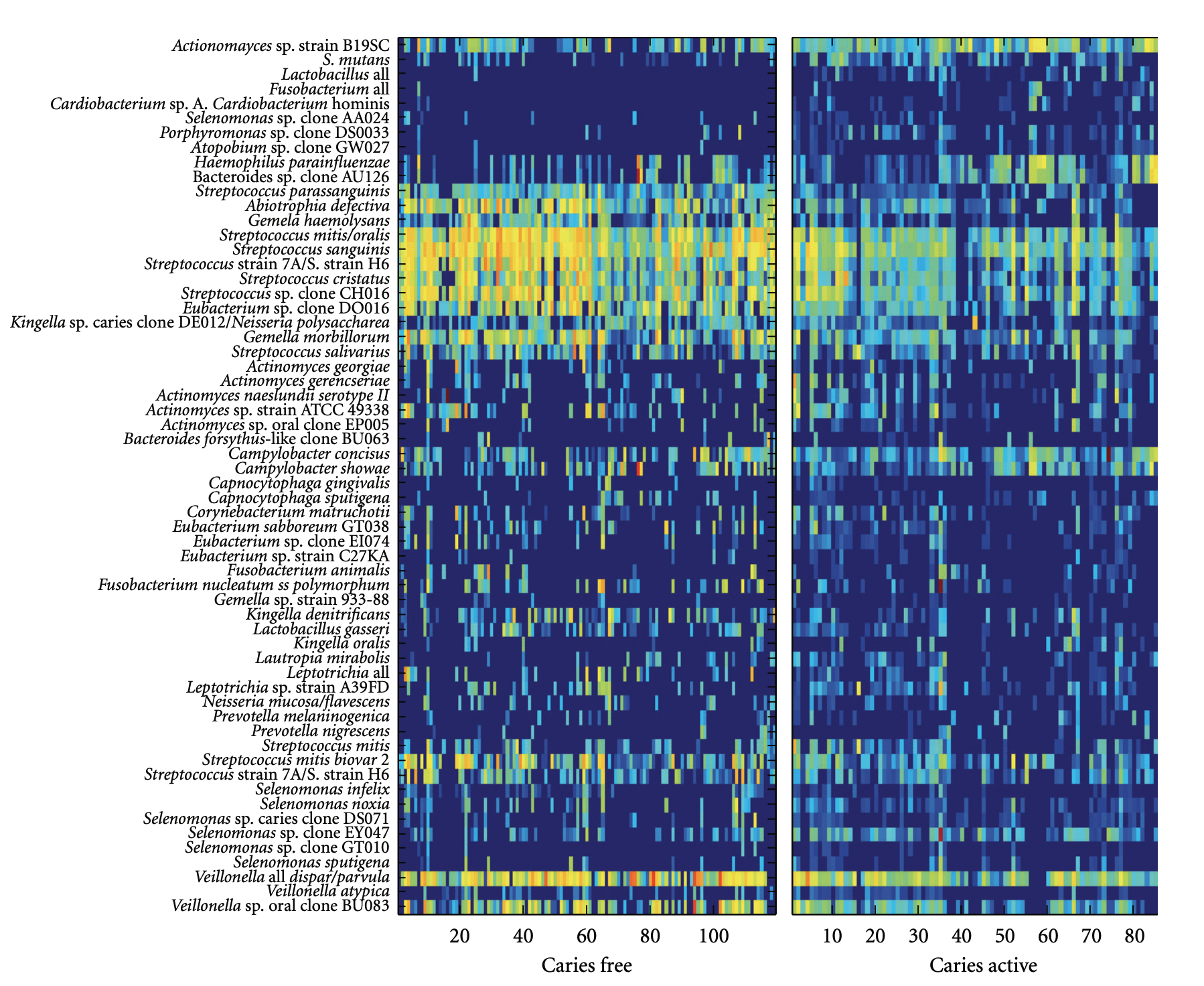 High-Throughput Proteomic and Genomic Biomarker Discovery diagram
